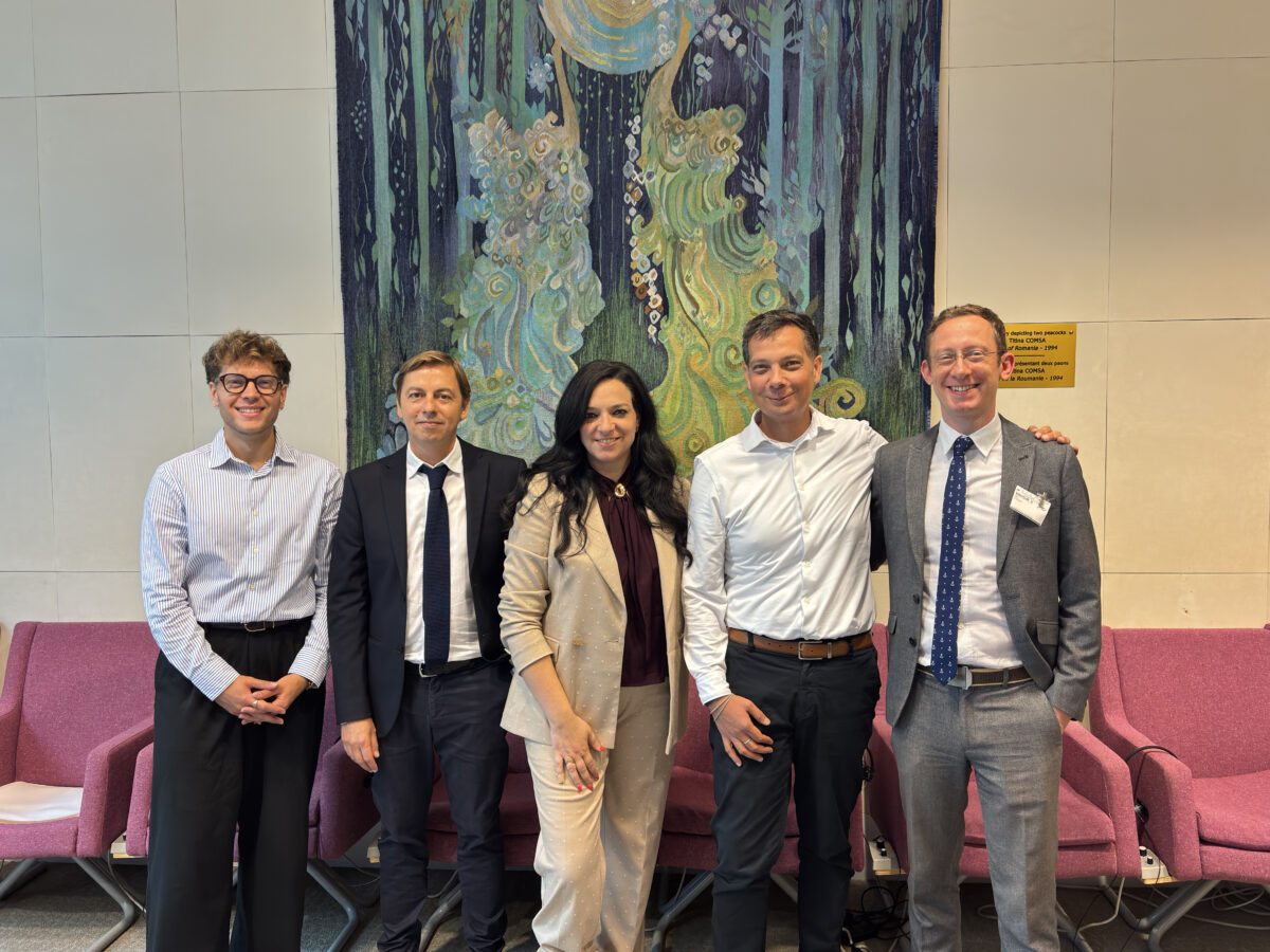 Hungary: Validity Briefs Council of Europe on Preventing Future Deaths Caused by Institutionalisation